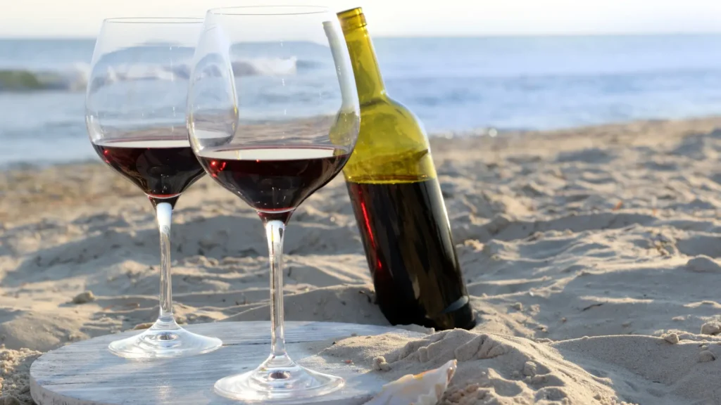 A couple drinking the Best Merlot Wine under $30